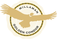 Golden Condor